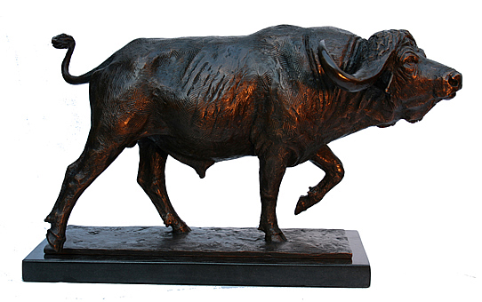 Tapudzadilo II buffalo bull charging